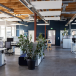 Modern Office Tenant Improvements: How Strategic Project Management Creates Value